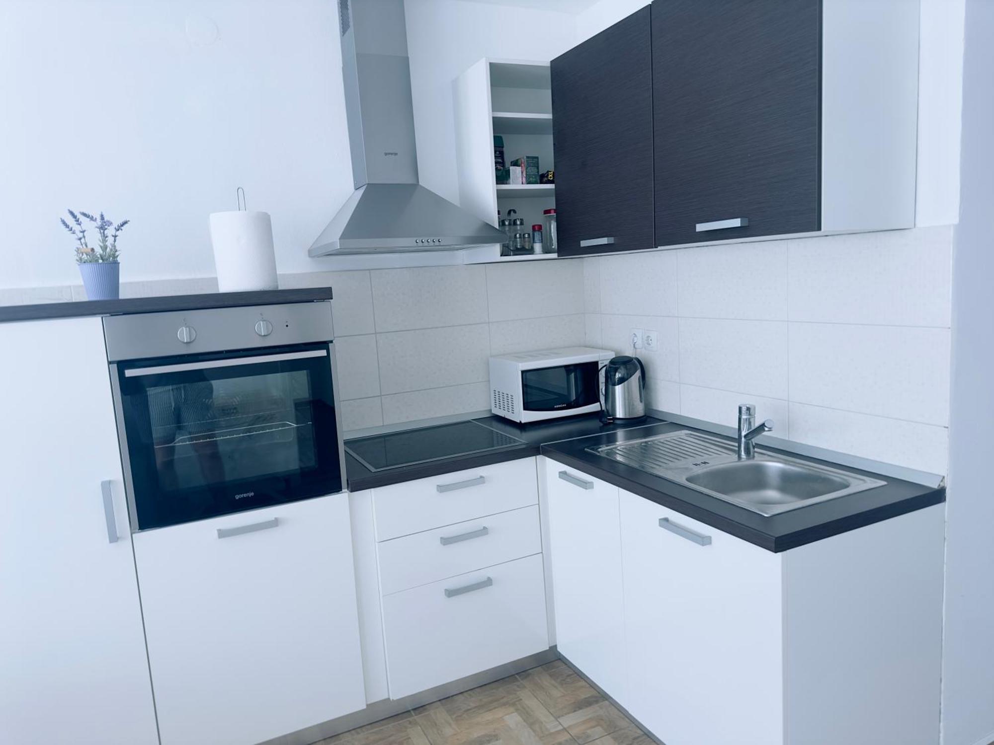 Poljana Plankit Apartment *